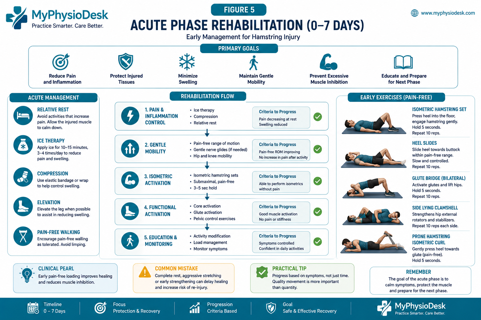 Acute phase hamstring rehabilitation flowchart
