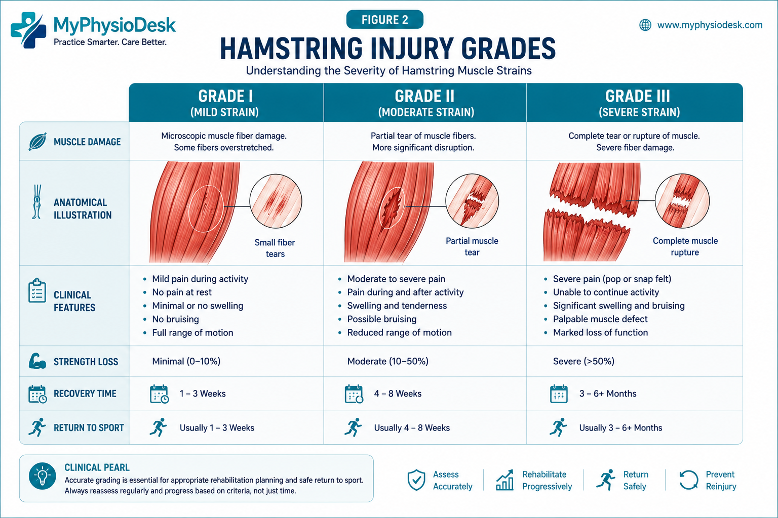 Grade 1 Grade 2 and Grade 3 Hamstring Injury