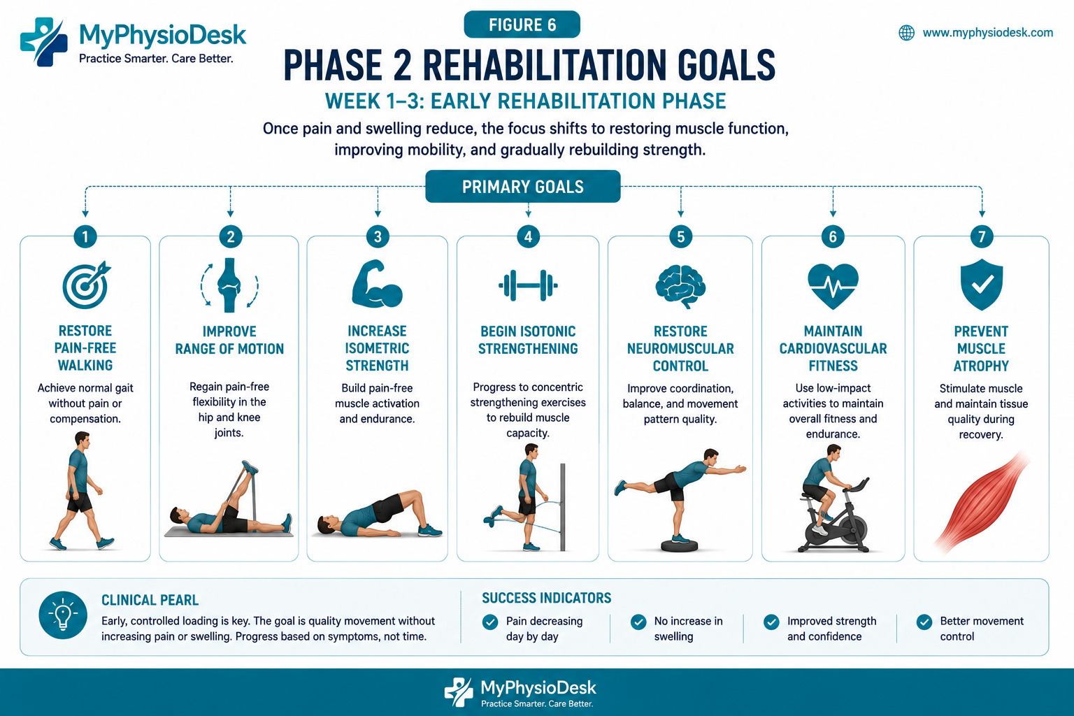 Goals of Phase 2 Hamstring Rehabilitation
