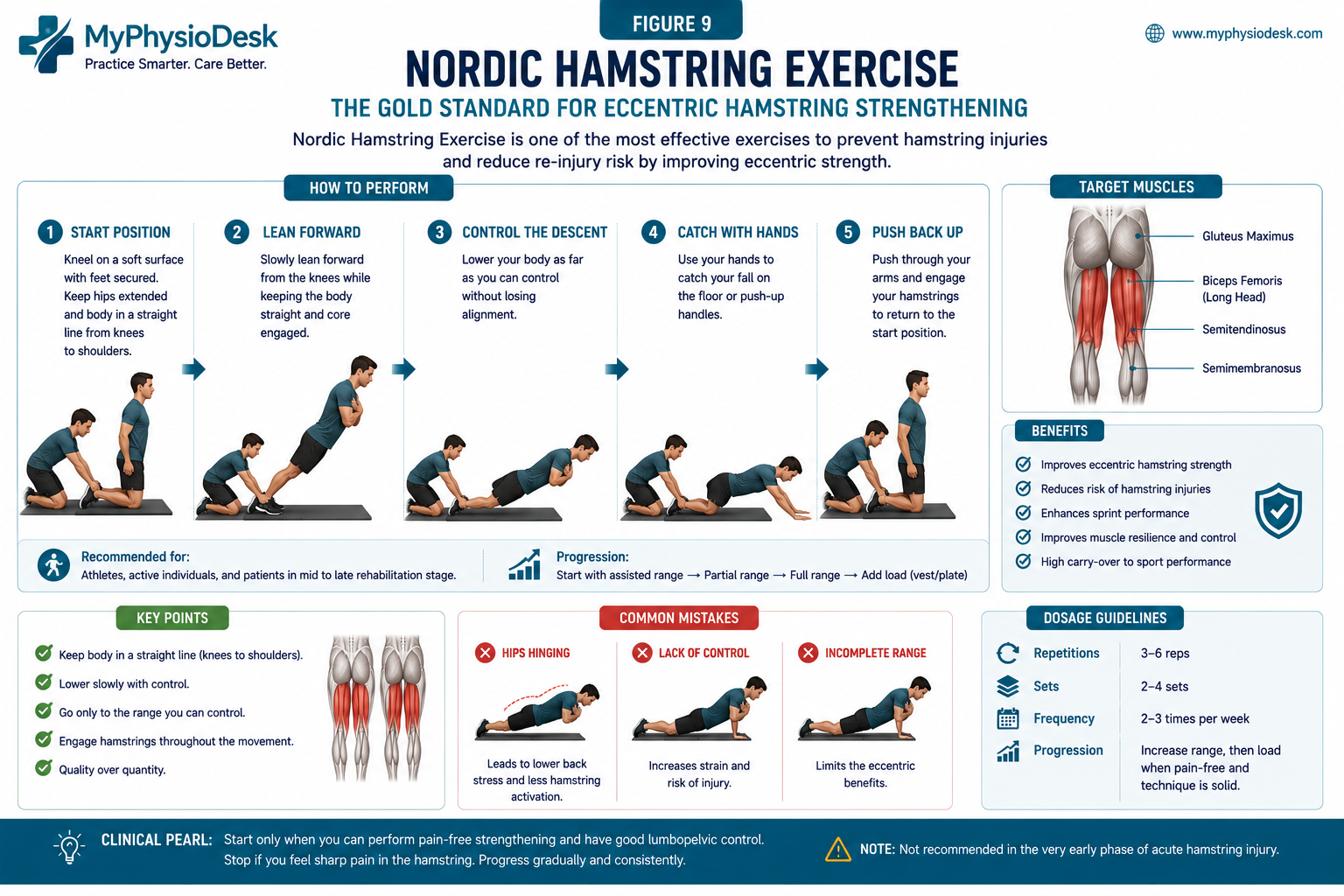 Nordic Hamstring Exercise